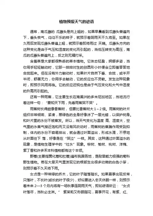 植物预报天气的谚语