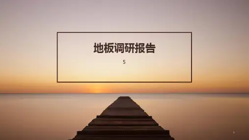 地板调研报告PPT课件