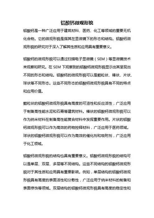 铝酸钙微观形貌