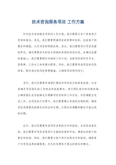 技术咨询服务项目 工作方案