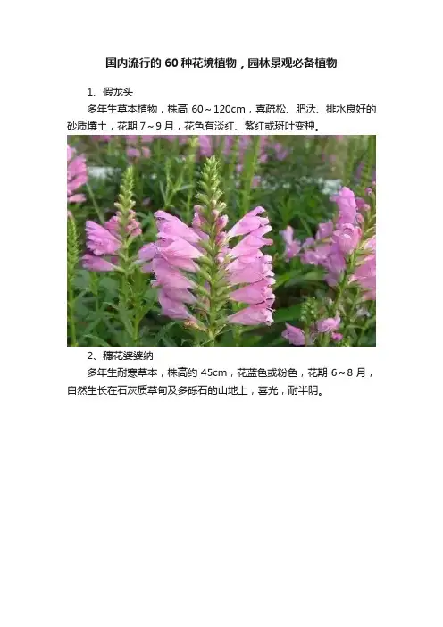 国内流行的60种花境植物，园林景观必备植物