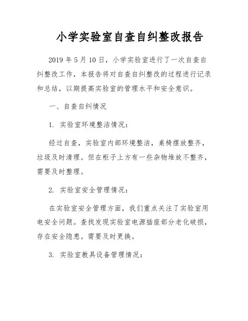 小学实验室自查自纠整改报告