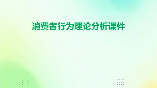 消费者行为理论分析课件