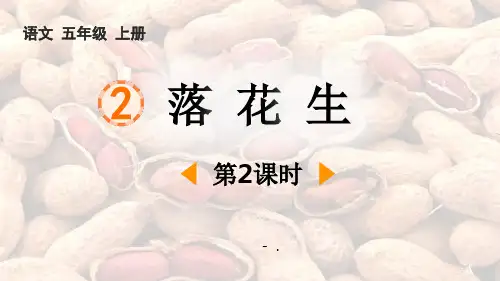 《落花生》PPT课件(第2课时)