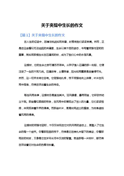关于夹缝中生长的作文