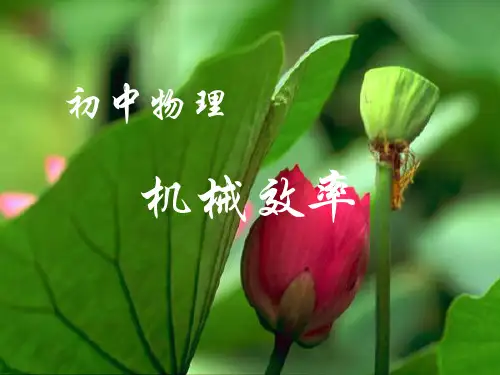 机械效率   初中物理教学课件PPT