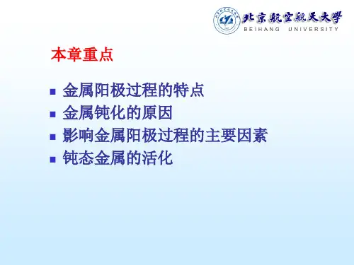电化学金属的阳极过程