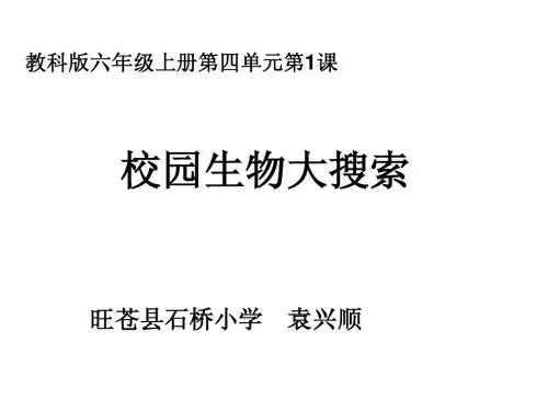 教科版六年级科学上册校园生物大搜索