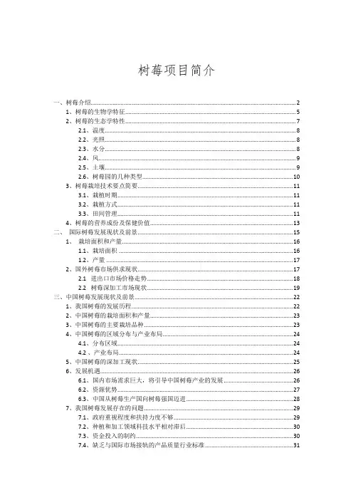 树莓项目介绍