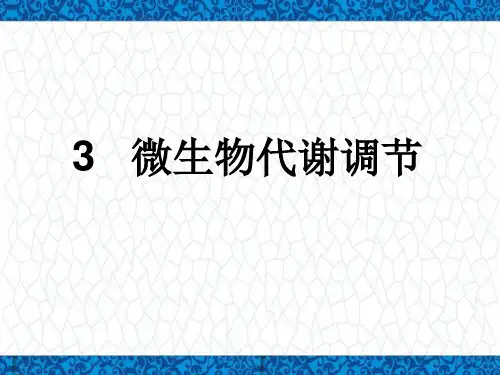 发酵工程PPT课件：3 微生物代谢调节(2-3)
