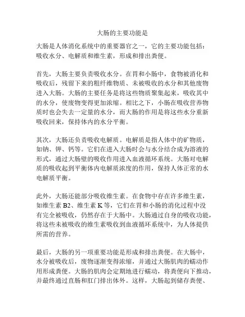 大肠的主要功能是