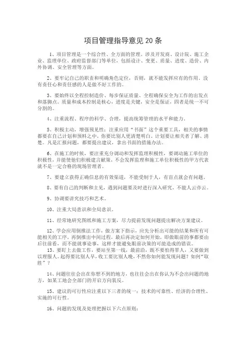 项目管理指导意见20条