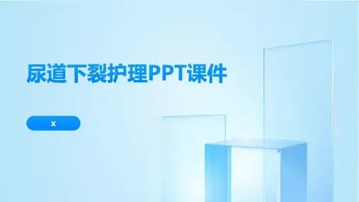 尿道下裂护理PPT课件