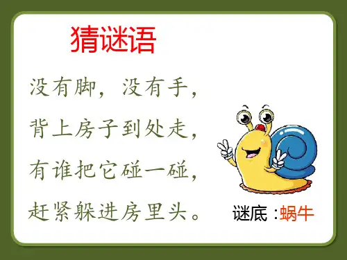 《小蜗牛》(绘本)