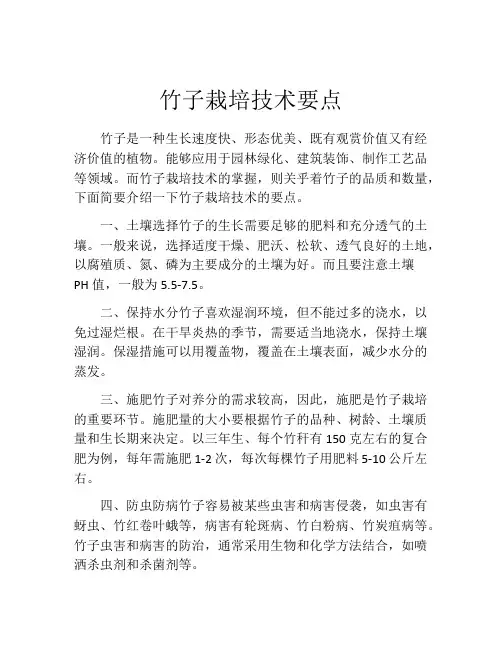 竹子栽培技术要点