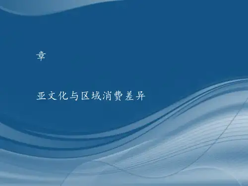 消费者行为学之亚文化与区域消费差异(ppt31张)