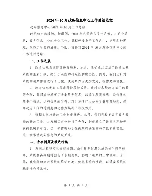 2024年10月政务信息中心工作总结范文