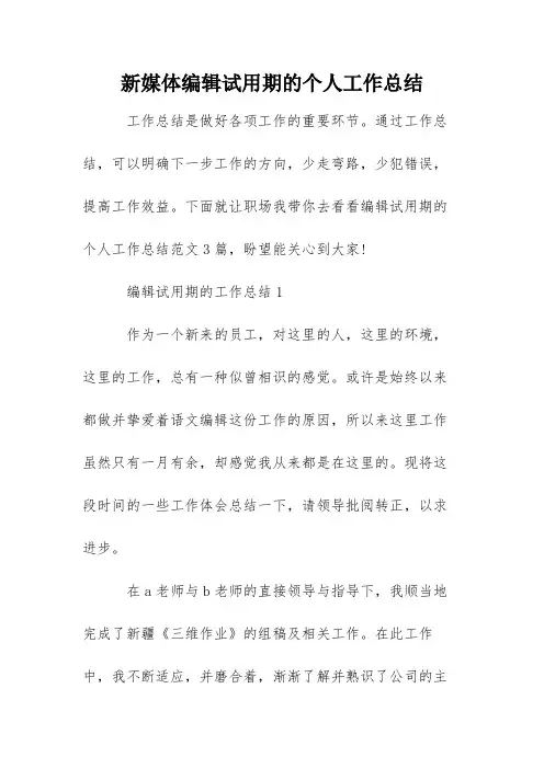新媒体编辑试用期的个人工作总结