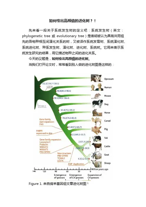 如何绘出高颜值的进化树？！