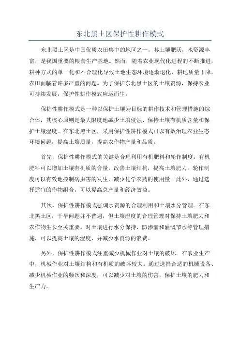 东北黑土区保护性耕作模式