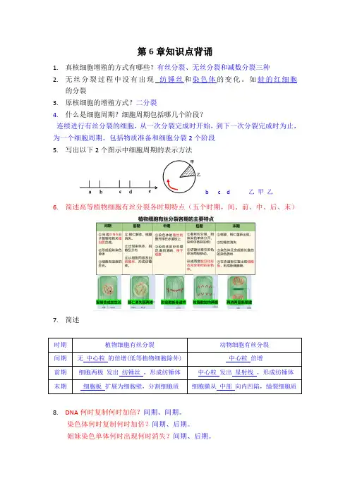 高一生物必修一第6章知识点背诵答案