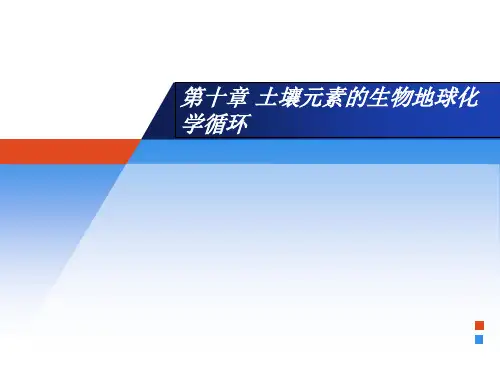 土壤学第十章土壤元素的生物地球化学循环