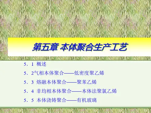 本体聚合生产工艺