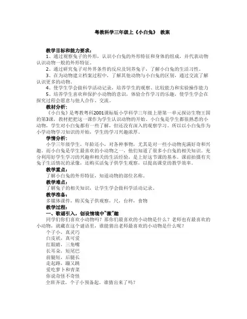 三年级科学《小白兔》教案