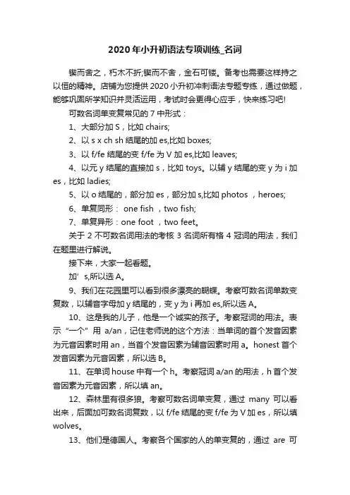 2020年小升初语法专项训练_名词