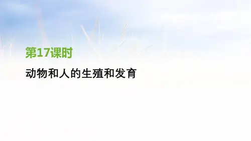 2019年江苏省徐州市中考生物复习(课件+练习)第六单元 生命的延续与进化 第17课时 动物和人的生殖和发育