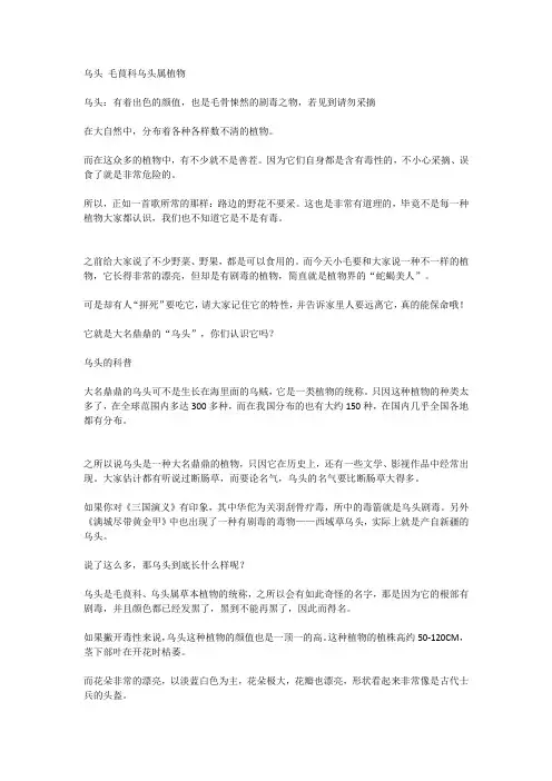 乌头 毛茛科乌头属植物