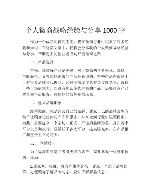 个人微商战略经验与分享1000字