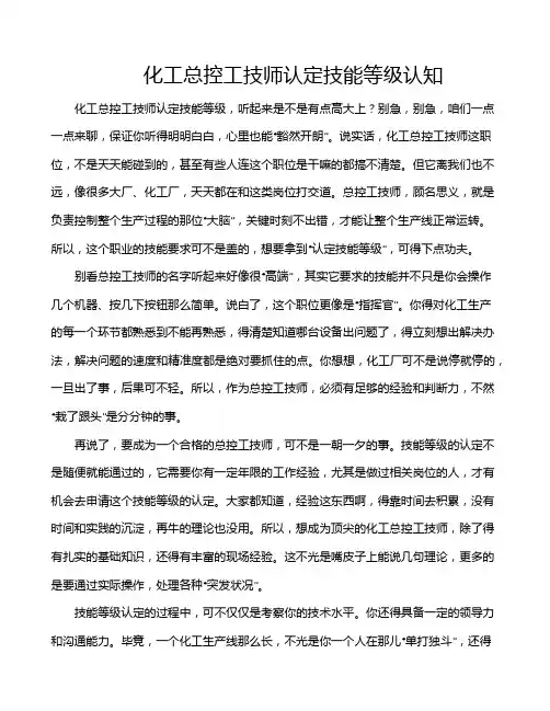 化工总控工技师认定技能等级认知