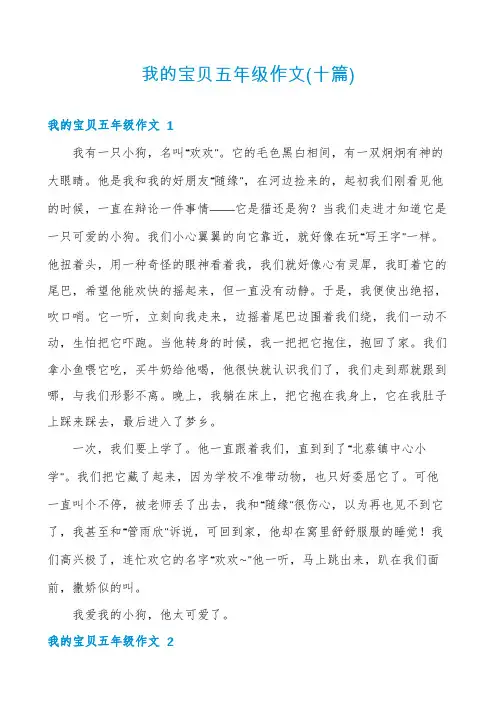 我的宝贝五年级作文(十篇)