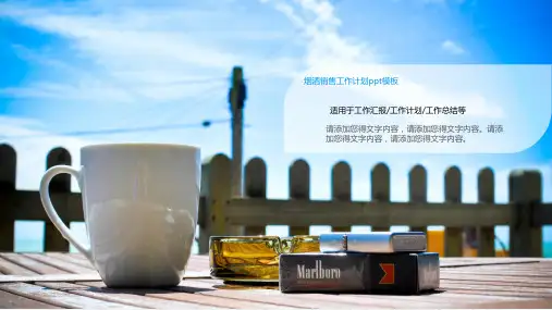酒文化PPT模板红酒葡萄酒啤酒白酒鸡尾酒调酒师美酒产品宣传介绍 (77)