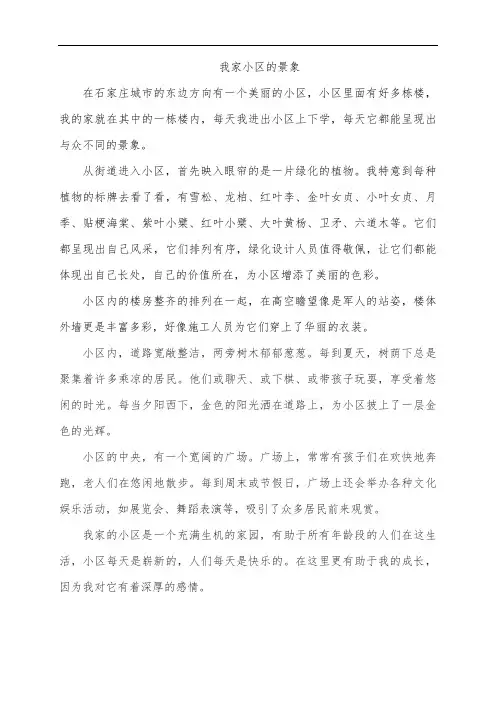 小学生作文500字：我家小区的景象