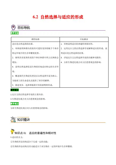 6.2自然选择与适应的形成(学生版-高一生物精品讲义(人教版2019必修2)
