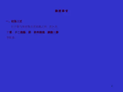 胃的解剖ppt课件