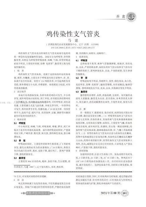 鸡传染性支气管炎