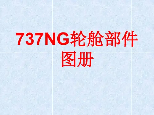 737NG飞机轮舱部件名称图册(精品PPT课件)