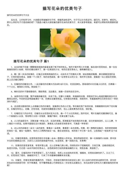 描写花朵的优美句子