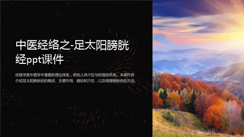 中医经络之-足太阳膀胱经课件