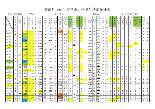 (龙溪铺)学校办学条件情况统计表(20190925报局)