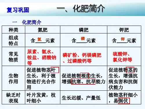 化学人教版九年级下册化肥的简易鉴定