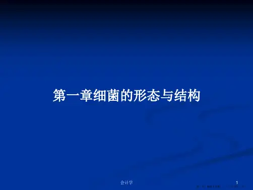第一章细菌的形态与结构学习教案