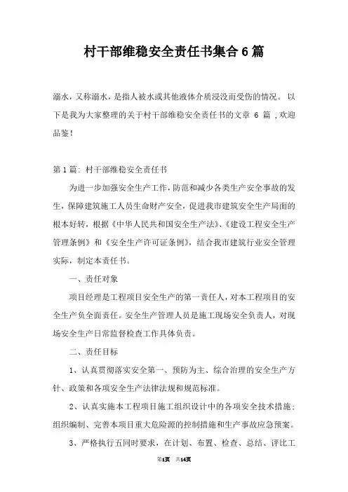 村干部维稳安全责任书集合6篇