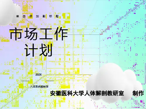 人体系统解剖学xulu