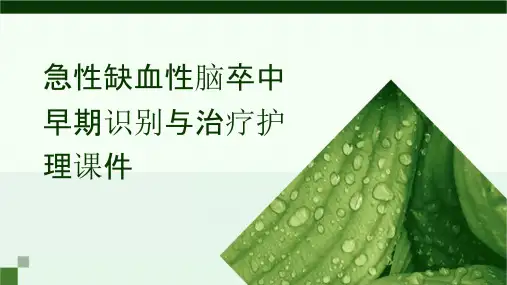 急性缺血性脑卒中早期识别与治疗护理课件