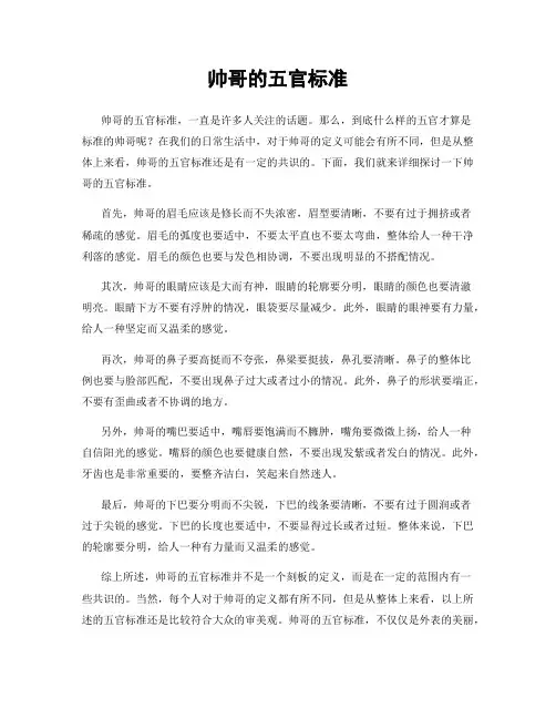 帅哥的五官标准