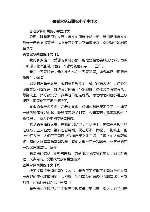 喜看家乡新面貌小学生作文